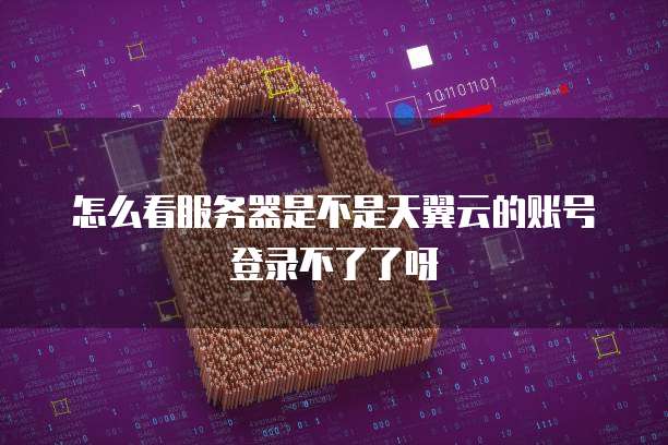 华为云服务器购买记录怎么查明细表