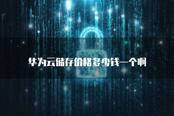 华为云储存价格多少钱一个啊
