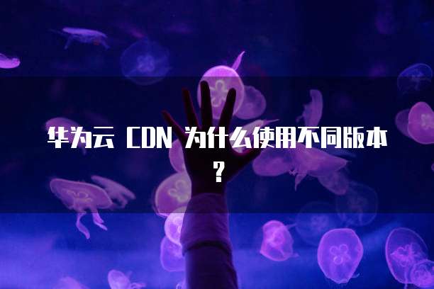 华为云 CDN 为什么使用不同版本?