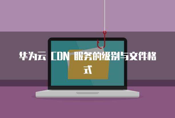 华为云 CDN 服务的级别与文件格式