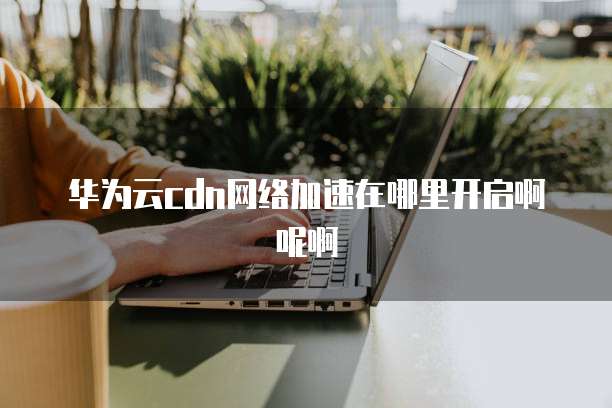华为云cdn网络加速在哪里开启啊呢啊