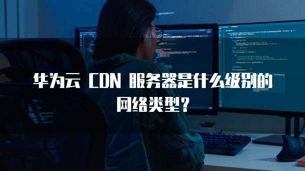 华为云 CDN 服务器是什么级别的网络类型？