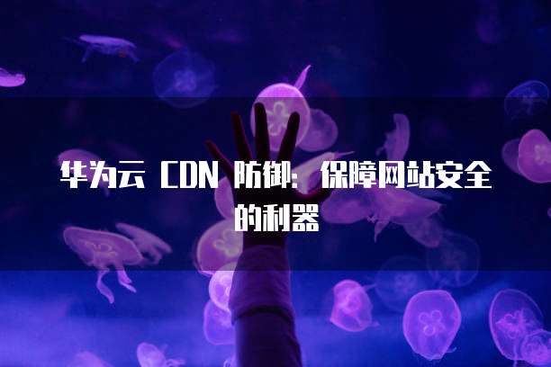 华为云 CDN 防御:保障网站安全的利器