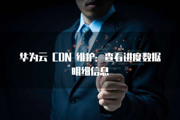 华为云 CDN 维护:查看进度数据明细信息