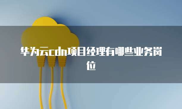 华为云cdn项目经理有哪些业务岗位
