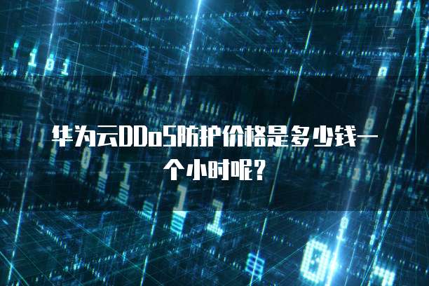 华为云DDoS防护价格是多少钱一个小时呢?