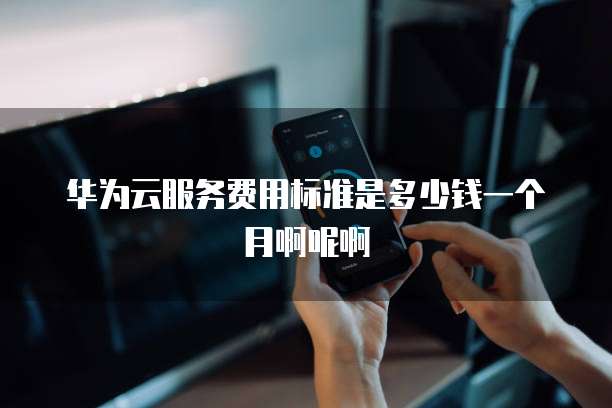 华为云服务费用标准是多少钱一个月啊呢啊