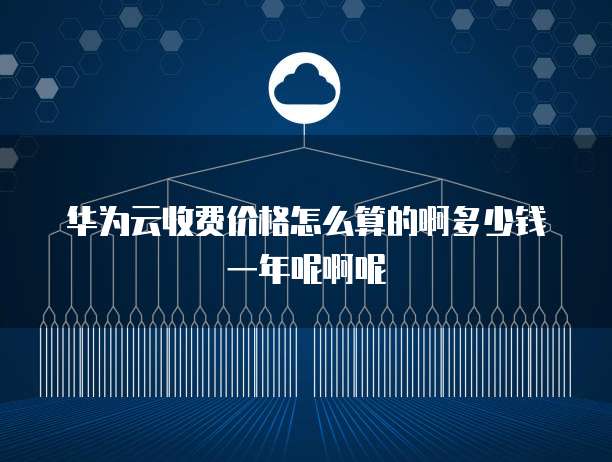 华为云收费价格怎么算的啊多少钱一年呢啊呢