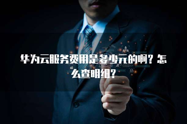 华为云服务费用是多少元的啊？怎么查明细？