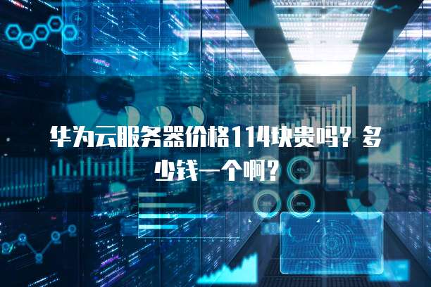 华为云服务器价格114块贵吗?多少钱一个啊?