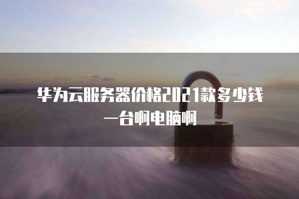 华为云服务器价格2021款多少钱一台啊电脑啊