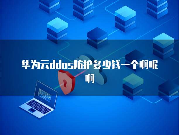 华为云ddos防护多少钱一个啊呢啊