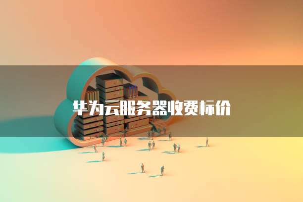 华为云服务器怎么连外网的电脑上用不了
