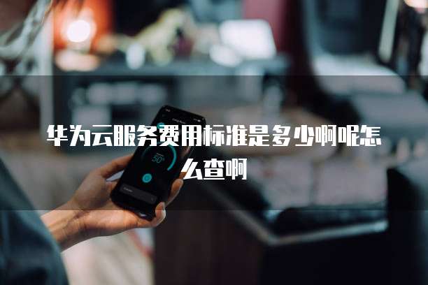 华为云服务费用标准是多少啊呢怎么查啊
