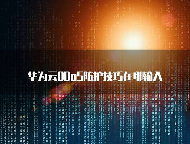华为云DDoS防护技巧在哪输入