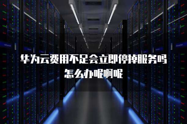 华为云费用不足会立即停掉服务吗怎么办呢啊呢
