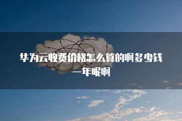 华为云收费价格怎么算的啊多少钱一年呢啊