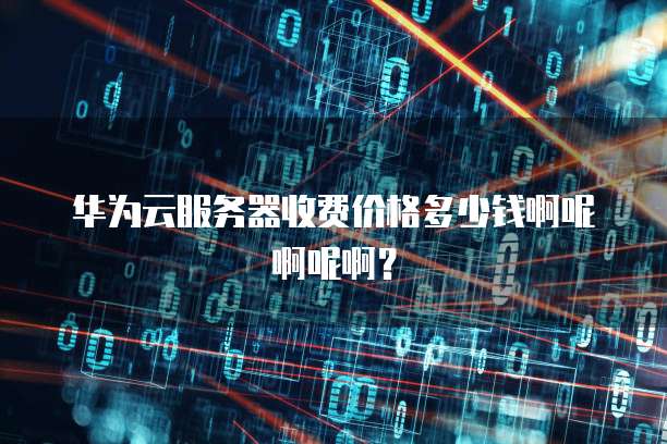 华为云服务器收费价格多少钱啊呢啊呢啊？