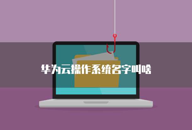 华为云服务器名称怎么改不了了呀怎么回事儿