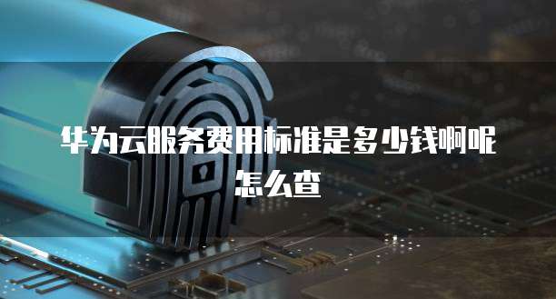 华为云服务费用标准是多少钱啊呢怎么查