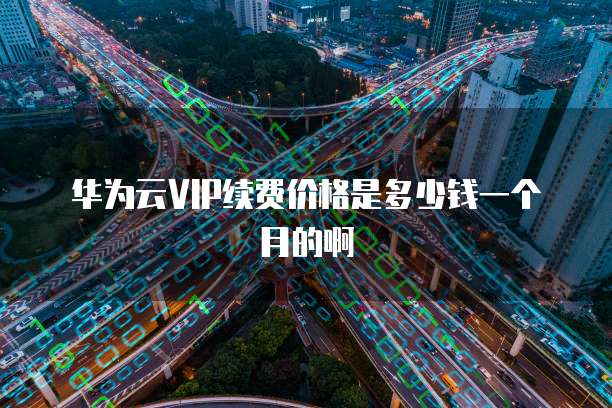 华为云VIP续费价格是多少钱一个月的啊