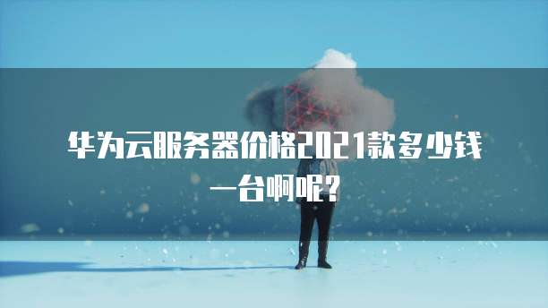 华为云服务器价格2021款多少钱一台啊呢?