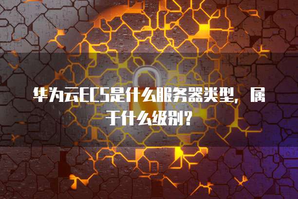 华为云ECS是什么服务器类型，属于什么级别？