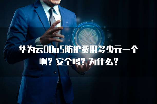 华为云DDoS防护费用多少元一个啊?安全吗?为什么?