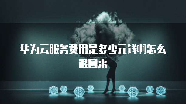 华为云服务费用是多少元钱啊怎么退回来