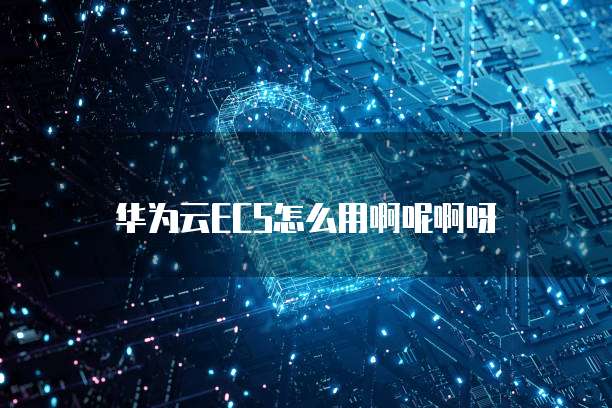 华为云ECS怎么用啊呢啊呀