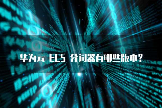 华为云 ECS 分词器有哪些版本?