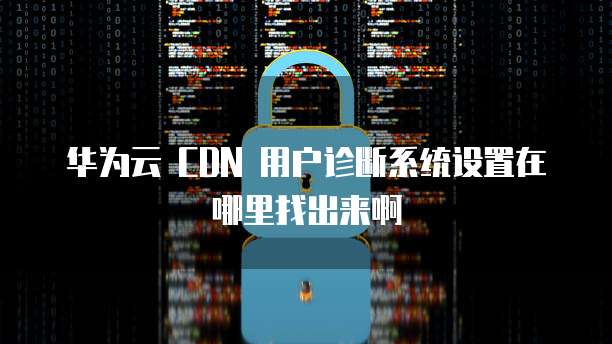 华为云 CDN 用户诊断系统设置在哪里找出来啊