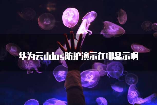 华为云ddos防护演示在哪显示啊