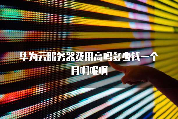 华为云服务器费用高吗多少钱一个月啊呢啊