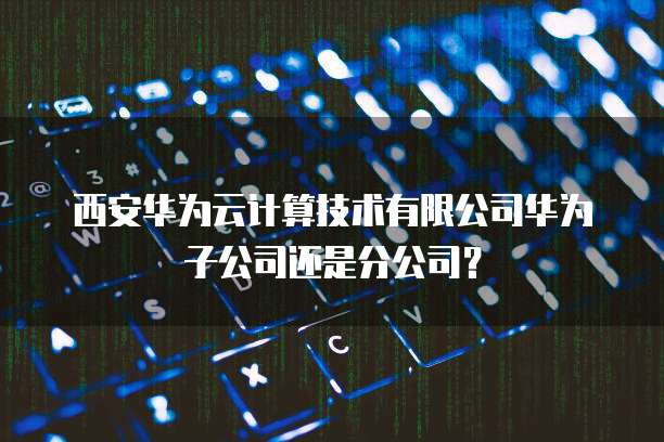 帕鲁华为云服务器更新不了怎么回事儿?
