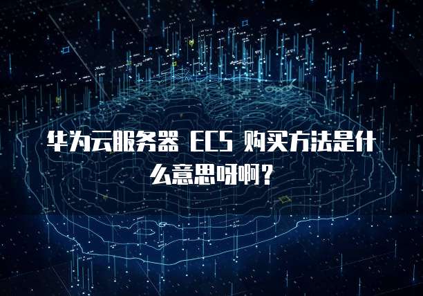 华为云服务器 ECS 购买方法是什么意思呀啊?