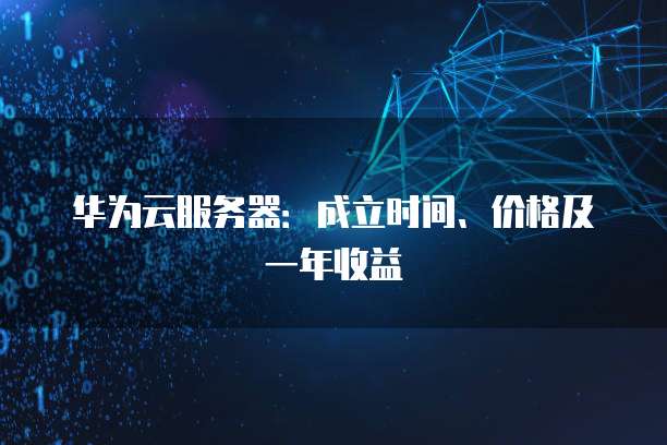 华为云服务器:成立时间、价格及一年收益