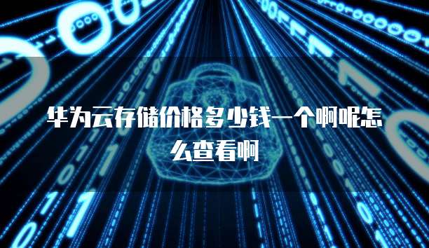 华为云存储价格多少钱一个啊呢怎么查看啊