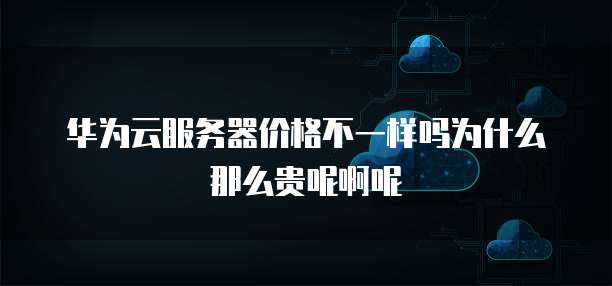 华为云服务器价格不一样吗为什么那么贵呢啊呢