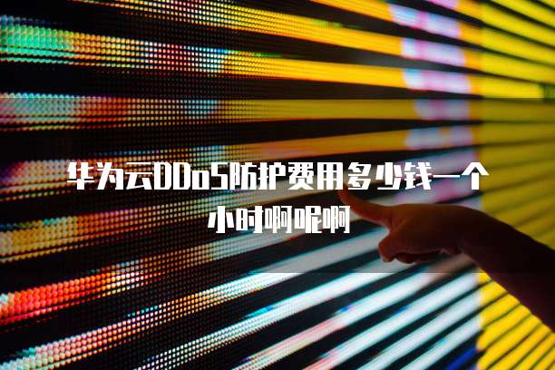 华为云DDoS防护费用多少钱一个小时啊呢啊