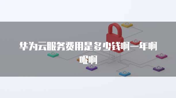 华为云服务费用是多少钱啊一年啊呢啊