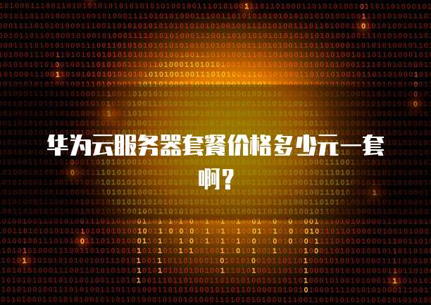 华为云服务器套餐价格多少元一套啊？