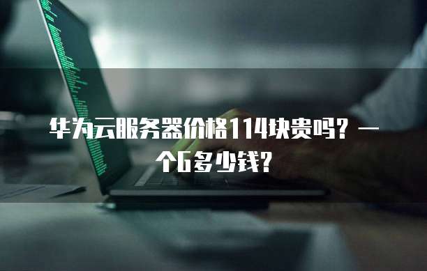 华为云服务器价格114块贵吗?一个G多少钱?