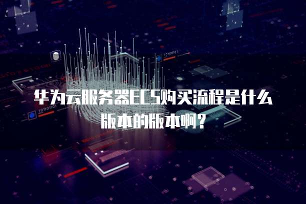 华为云服务器ECS购买流程是什么版本的版本啊？