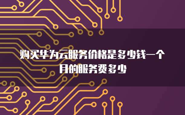 购买华为云服务价格是多少钱一个月的服务费多少
