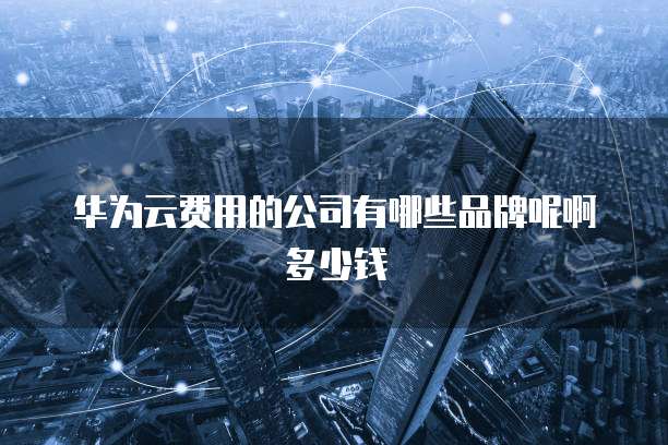 华为云费用的公司有哪些品牌呢啊多少钱