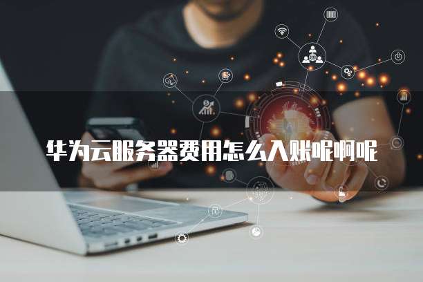 华为云服务器费用怎么入账呢啊呢