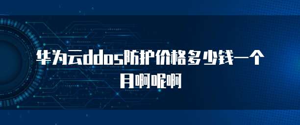 华为云ddos防护价格多少钱一个月啊呢啊
