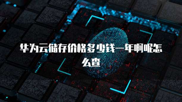 华为云储存价格多少钱一年啊呢怎么查