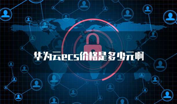 华为云ecs价格是多少元啊